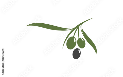 Olive Fruit icon vector illustration design template