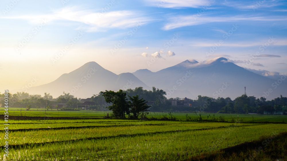 Fototapeta premium sunrise in the mountains with rice fields and blue sky