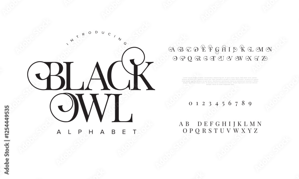 Blackowl typography beauty fashion elegant minimalist serif italic fonts decorative wedding vintage retro logos. Minimal luxury font alphabet logo. Vector illustration