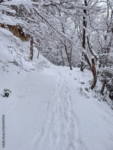 足跡がある雪のトレイル
