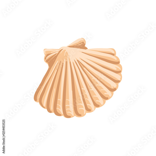 vector drawing sea shell, scalop, seashell isolated at white background, hand drawn illustration