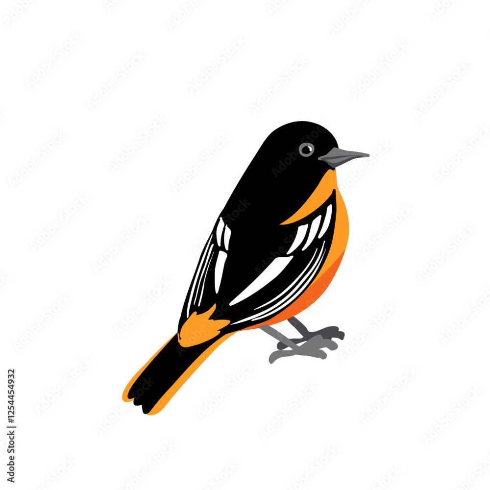 Fototapeta premium vector drawing bird,Baltimore oriole, hand drawn Icterus galbula, isolated nature design element