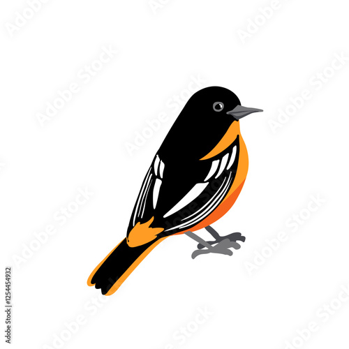 vector drawing bird,Baltimore oriole, hand drawn Icterus galbula, isolated nature design element