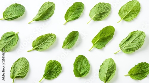 Fresh mint leaves arranged on white background, food recipe
