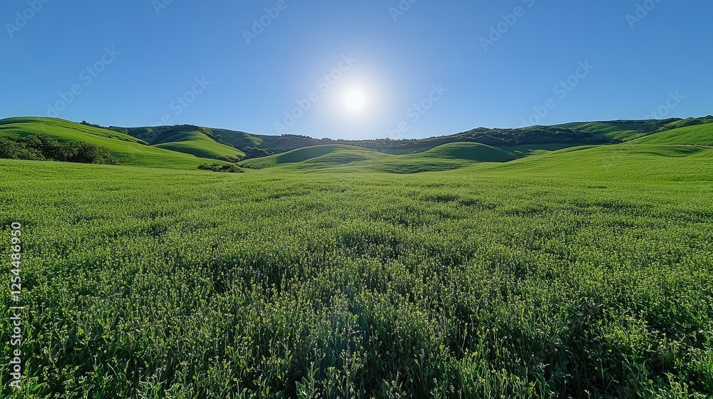 Lush green landscape under a bright sun with rolling hills and clear blue sky Lush green landscape under a bright sun with rolling hills and clear blue sky