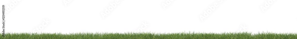 Fresh green grass field isolated on transparent background. 3d realistic rendering . PNG format	