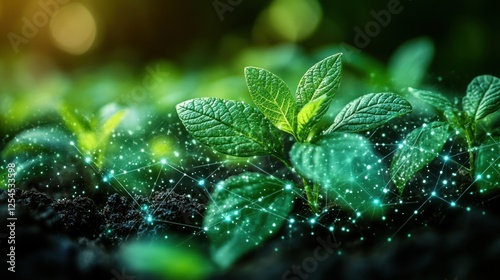 Young green plants growing in rich soil with glowing network lines, representing growth and technology.