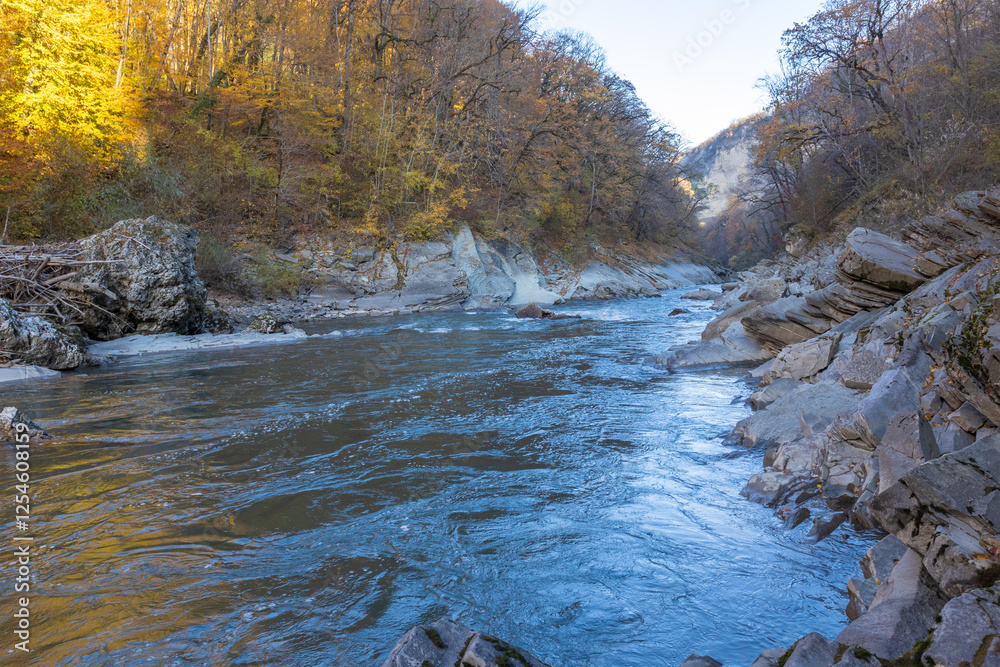 morning in a mountainous area, frost falling on the trees, the first rays of the sun awaken nature morning in a mountainous area, frost falling on the trees, the first rays of the sun awaken nature