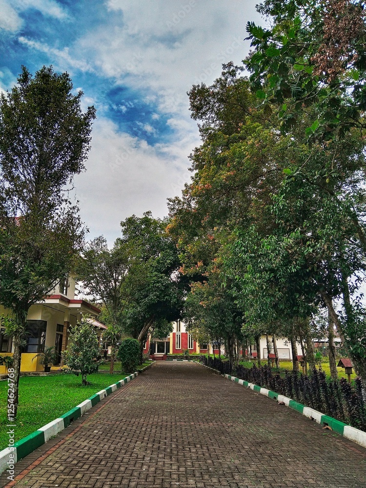 Fototapeta premium autumn in the park