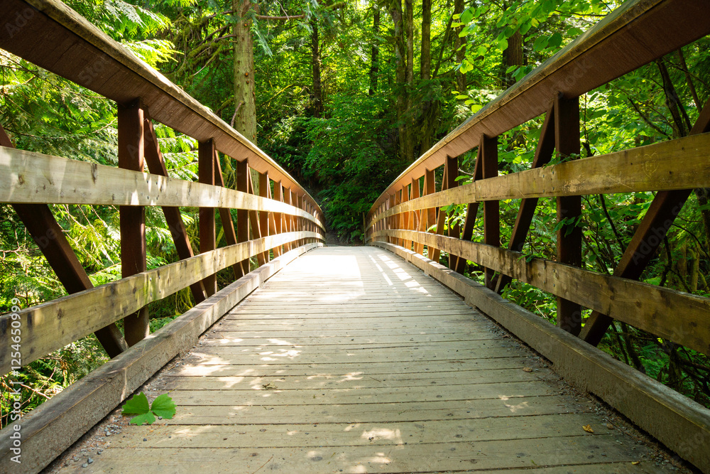wooden bridge in the forest wooden bridge in the forest