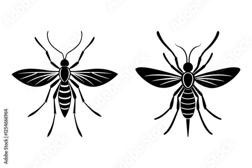 mosquito vector on white background