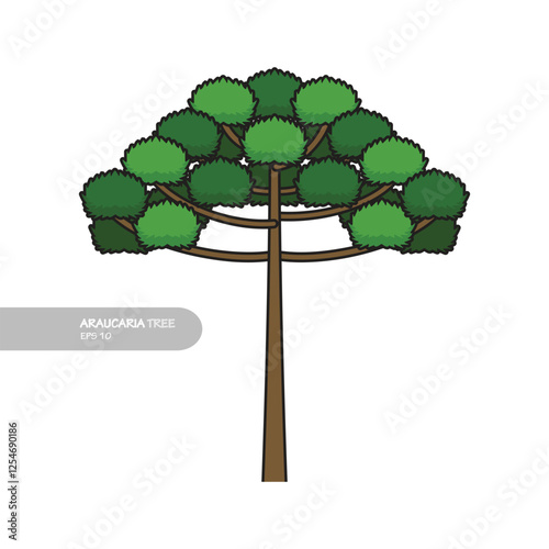 araucaria tree design vector flat modern isolated on white background