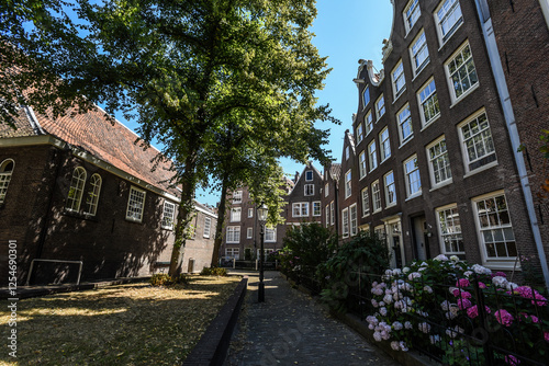 Hydrangeas and Historic Homes in Begijnhof Courtyard - Amsterdam, Netherlands