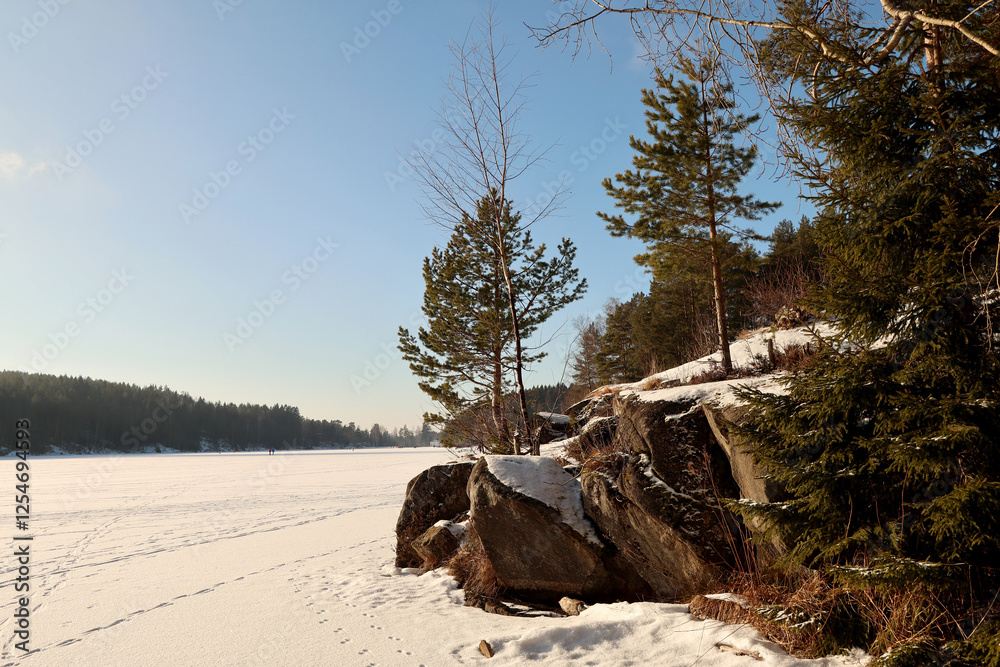 Winter Winter
