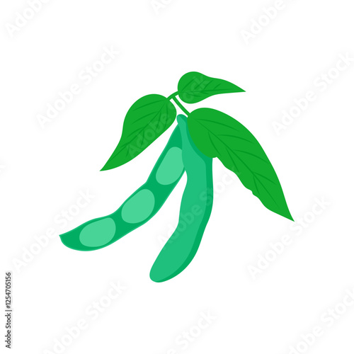 Soybean, Farming Flat Vector Illustration