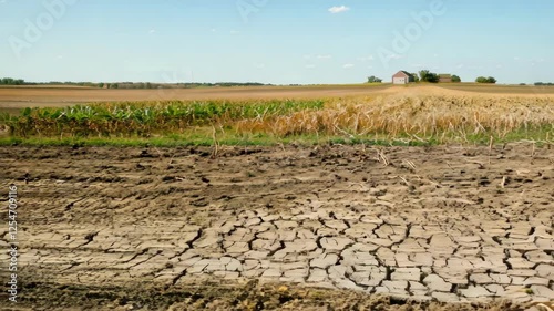 Cracked dry earth with withered crops in a farm field under a clear blue sky in a rural area. ai