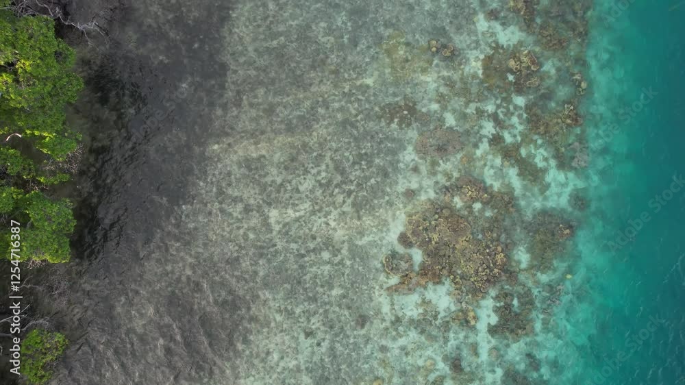 custom made wallpaper toronto digitalMangroves, coral reef, and clear blue waters, serene and peaceful vibe, aerial view