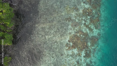 Wallpaper Mural Mangroves, coral reef, and clear blue waters, serene and peaceful vibe, aerial view Torontodigital.ca