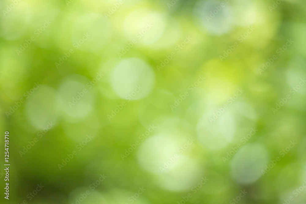Green bokeh background, blurry green leaves out of focus. Green bokeh background, blurry green leaves out of focus.