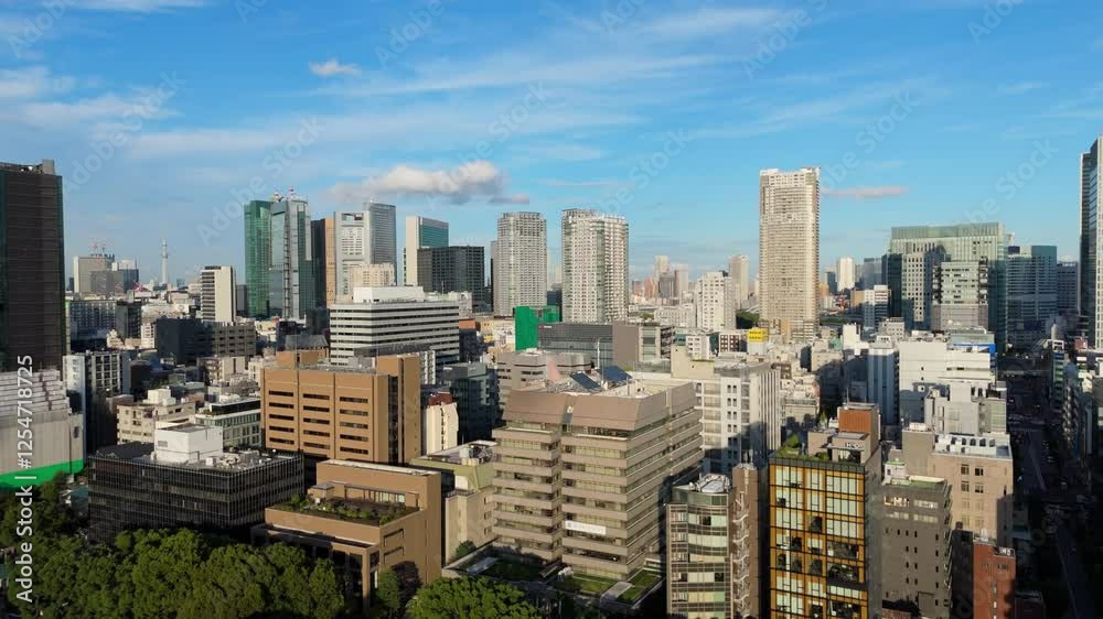Drone shot of Minato skyline in Tokyo during day light Drone shot of Minato skyline in Tokyo during day light