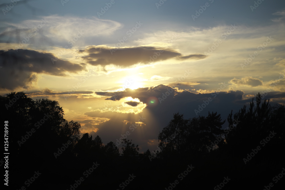 Dramatic Sunset Sky with Silhouetted Trees and Clouds Dramatic Sunset Sky with Silhouetted Trees and Clouds