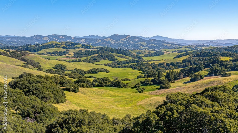 Fototapeta premium Panoramic View Of Green Valley And Hills