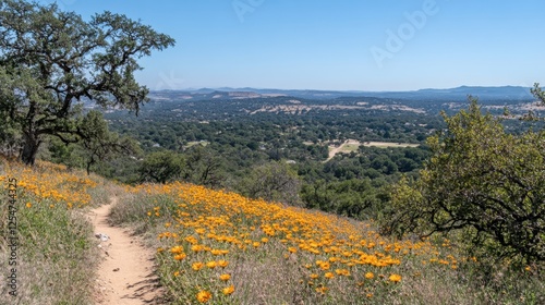 A mountain hiking trail with wildflowers, leading to a breathtaking panoramic view of the valley below. photo