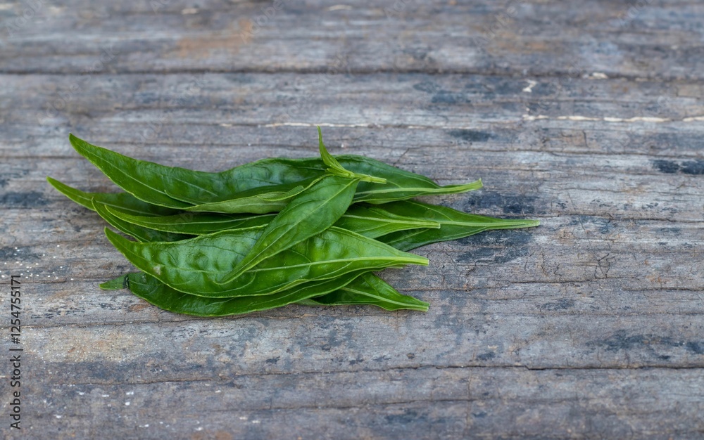 Andrographis Paniculata Leaves or Green Chiretta with Copy Space Isolated on Wooden Background, Also Known as Kalmegh, Uses as Ayurvedic Herbal Medicine Andrographis Paniculata Leaves or Green Chiretta with Copy Space Isolated on Wooden Background, Also Known as Kalmegh, Uses as Ayurvedic Herbal Medicine