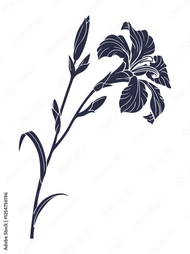 Naklejka premium vector illustration of a Iris flower