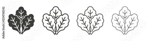 Lettuce icons set. Liner outlined and flat black color