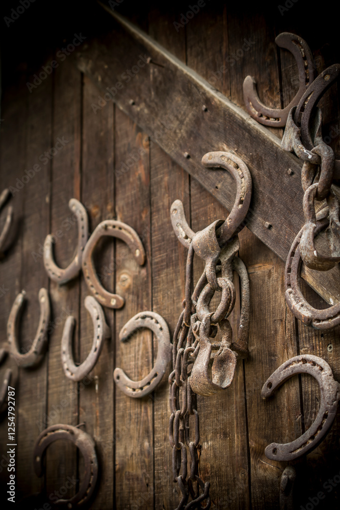 Multiple horseshoes nailed on an old wooden door Multiple horseshoes nailed on an old wooden door