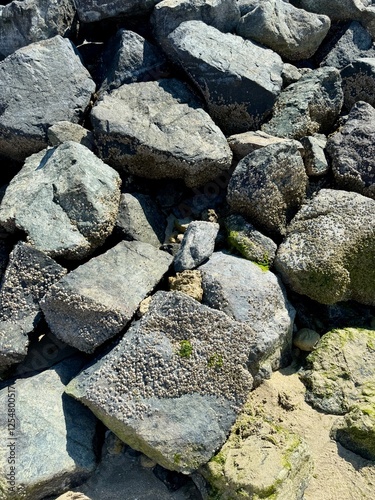 Large coastal rocks covered with barnacles and patches of green algae, partially buried in sand. The rough texture and marine growth indicate tidal exposure and seawater influence.