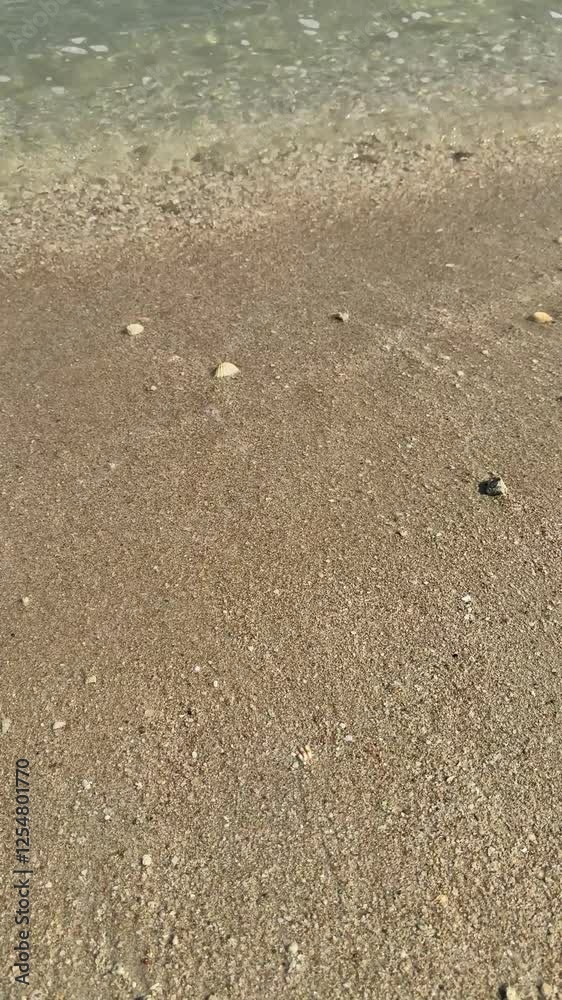 Shallow seawaters at the beach, some white foam Shallow seawaters at the beach, some white foam