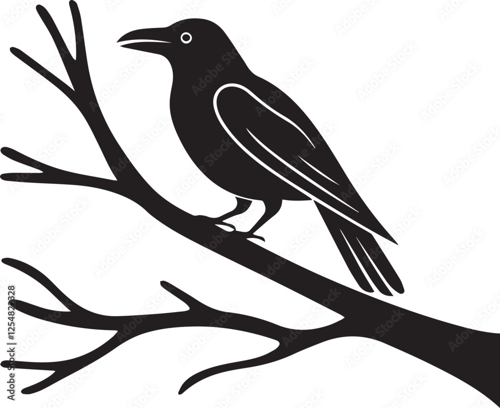 Obraz premium American Crow vector