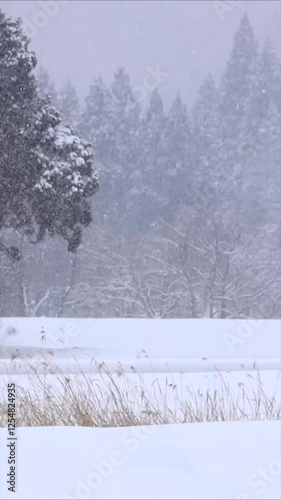 雪がちらちら降る冬の自然風景　縦型動画　サイネージ