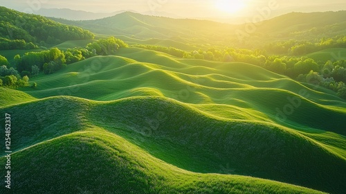 Serene Rolling Hills at Sunrise photo