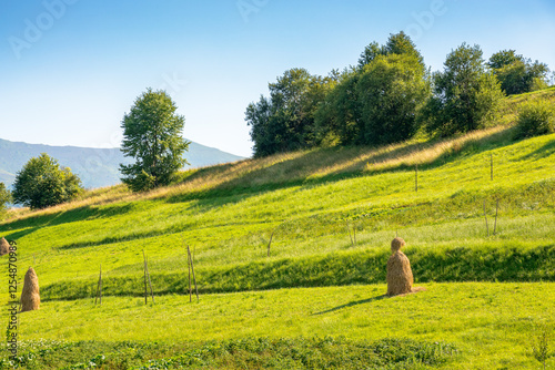 Obraz na płótnie haystacks on the agricultural field near the forest. blue sky. rural landscape at the foot of the mountain in summer. beautiful countryside scenery in evening light. green hill w salonie