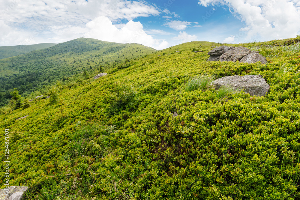 stones and rocks on the slope of alpine meadow. outdoor adventure. summer mountain landscape with cloudy sky. grassy hill top in the distant background. green hillside