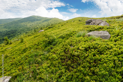 Obraz na płótnie stones and rocks on the slope of alpine meadow. outdoor adventure. summer mountain landscape with cloudy sky. grassy hill top in the distant background. green hillside w salonie