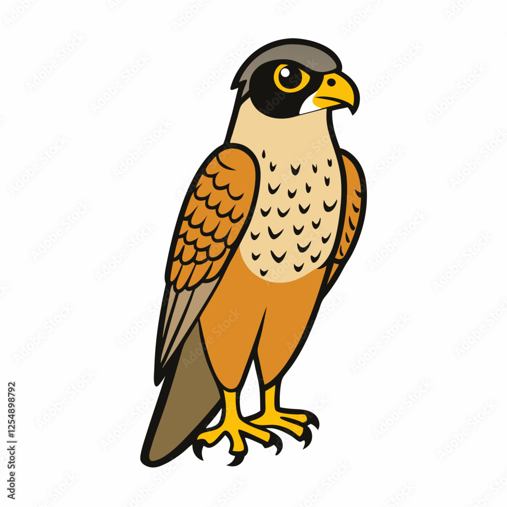 falcon vector illustration falcon vector illustration