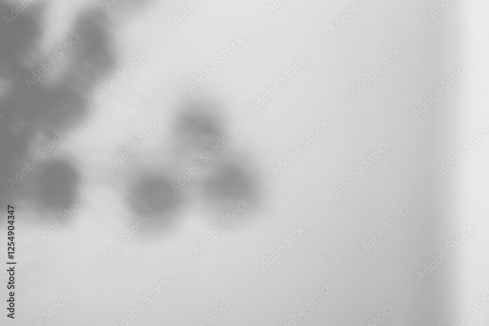Abstract shadow of leaves on white wall background. Abstract shadow of leaves on white wall background.