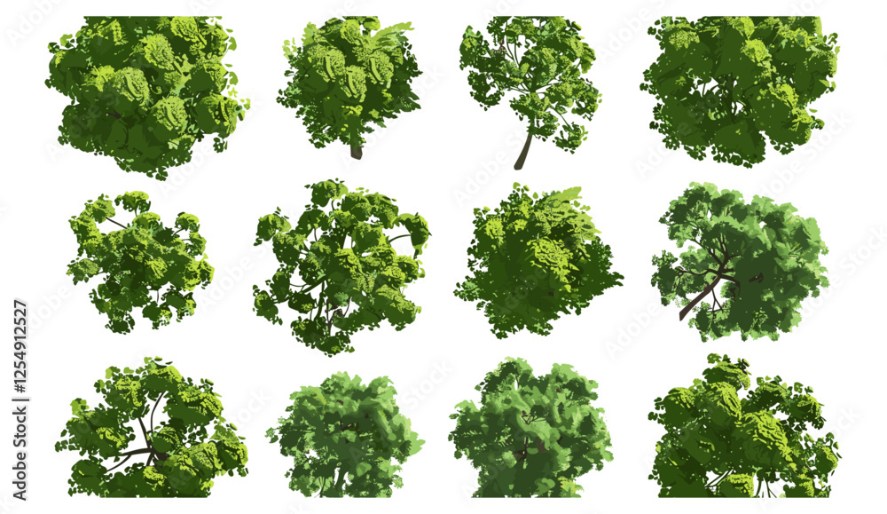 Aerial top view jungle trees landscape, 3d render PNG file, transparent background, forest, nature, tropical, wild, natural, environment, 3d, exotic trees, lush green foliage, landscape design.
