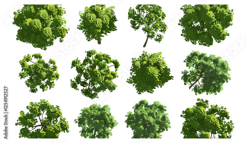 Aerial top view jungle trees landscape, 3d render PNG file, transparent background, forest, nature, tropical, wild, natural, environment, 3d, exotic trees, lush green foliage, landscape design.