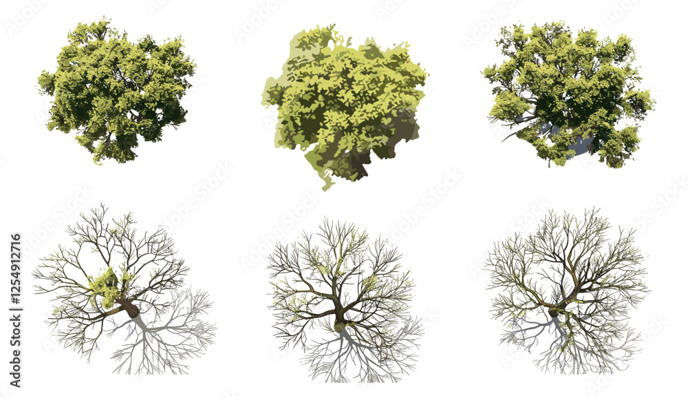 3d rendering aerial view of arid trees, vector illustration, isolated trees set, transparent background, barren landscape, PNG tree design, dry branches, nature illustration