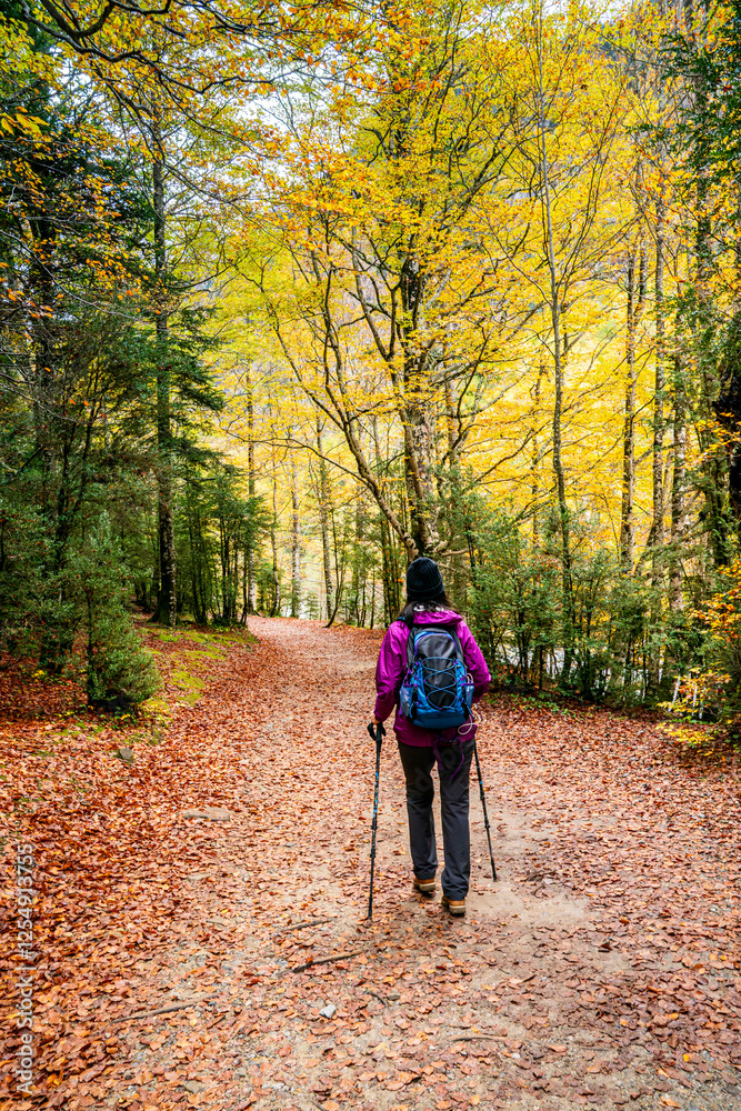 A hiker explores the serene trails of Ordesa National Park, surrounded by vibrant autumn colors, pine trees, and the breathtaking backdrop of the Pyrenees mountains A hiker explores the serene trails of Ordesa National Park, surrounded by vibrant autumn colors, pine trees, and the breathtaking backdrop of the Pyrenees mountains