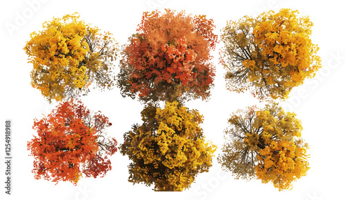 Autumn trees vector, large foliage shapes, isolated PNG backgrounds, fall nature, colorful leaves, forest scenery, seasonal artwork, landscape element, artistic tree set