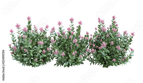Clipart vector illustration flower bushes isolate backgrounds png file, greenery design, botanical elements, nature, blooming flowers, floral elements, outdoor garden, spring season