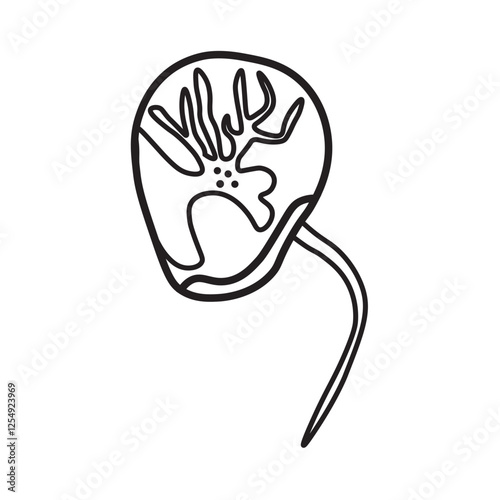 Noctiluca scintillans dinoflagellates