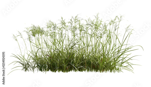 3d rendering prairie grass field png, vector illustration, cut out green grass, summer field, landscape design, outdoor view, nature scene, vibrant grass, eco-friendly nature