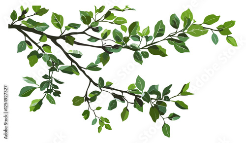 Wallpaper Mural Tree branches leaves, vector cutout, greenery, transparent PNG, 3d rendering, realistic nature, isolated tree branches, foliage illustration, botanical design, nature background Torontodigital.ca